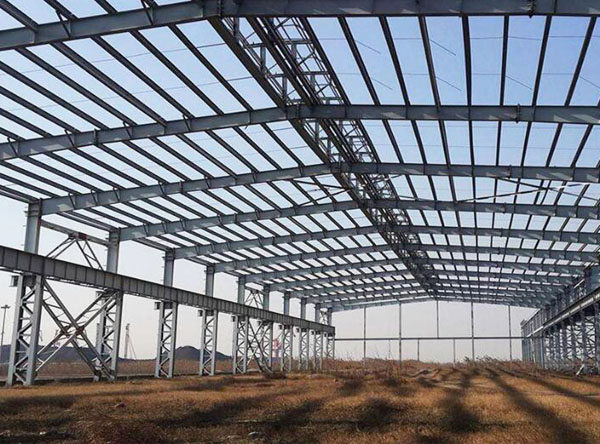 球速体育网页版